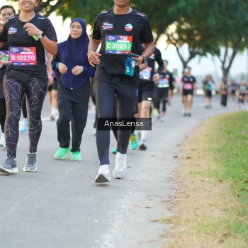 Runner Photo 3767047