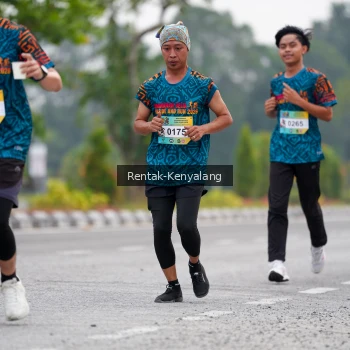 Runner Photo 3767138