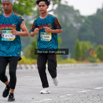 Runner Photo 3767172