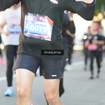 Runner Photo 3767210