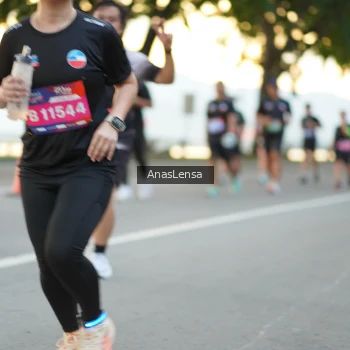 Runner Photo 3768882