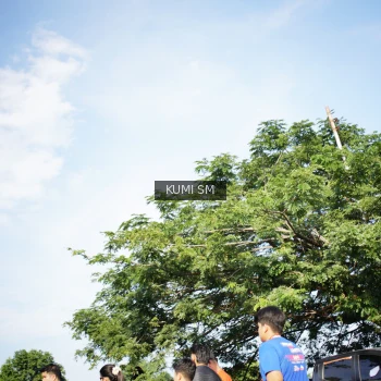 Runner Photo 3769352