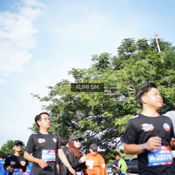 Runner Photo 3769379