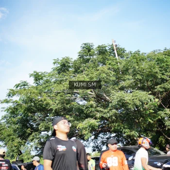 Runner Photo 3773534