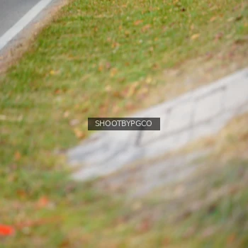 Runner Photo 3774444