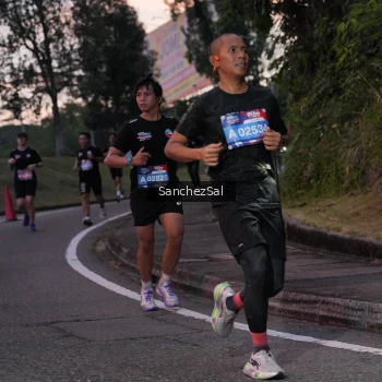Runner Photo 3775015