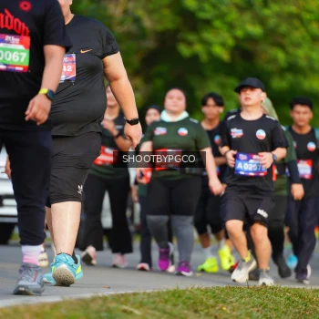 Runner Photo 3775151