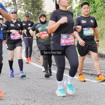 Runner Photo 3776404