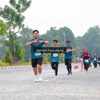 Runner Photo 3779696