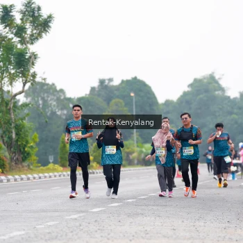 Runner Photo 3780484