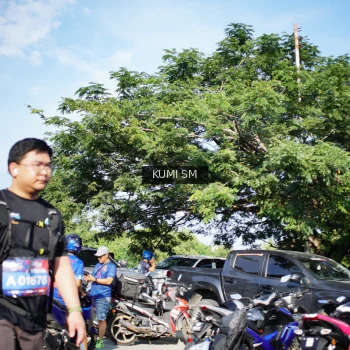 Runner Photo 3781160