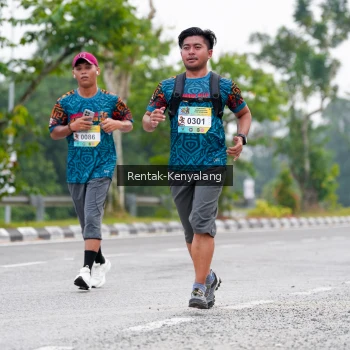 Runner Photo 3781203