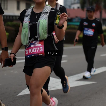 Runner Photo 3781278
