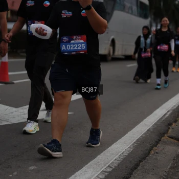 Runner Photo 3781891