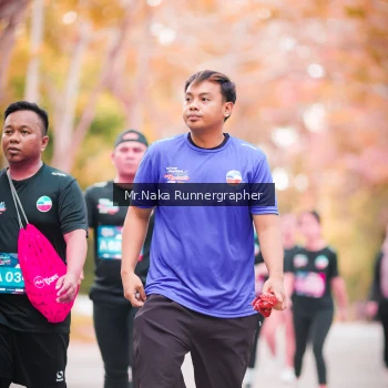 Runner Photo 3783987