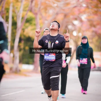 Runner Photo 3784040