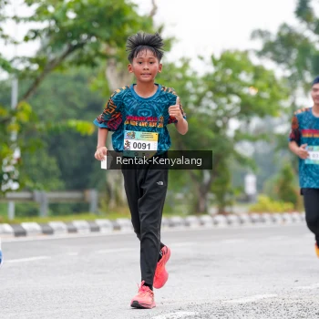 Runner Photo 3784335