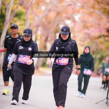 Runner Photo 3784445