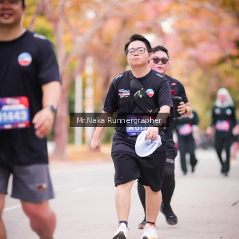 Runner Photo 3784858