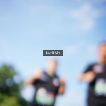 Runner Photo 3785107