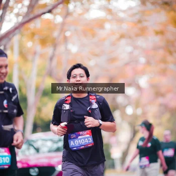 Runner Photo 3785139