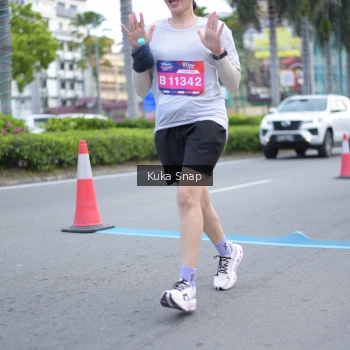 Runner Photo 3786371