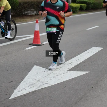 Runner Photo 3786413