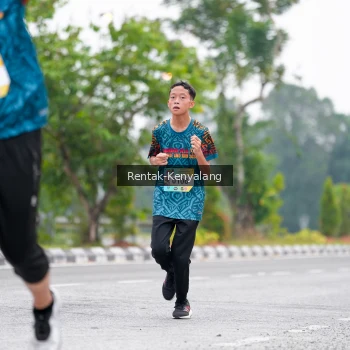 Runner Photo 3787170