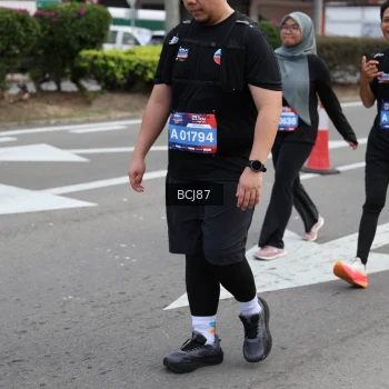 Runner Photo 3787523