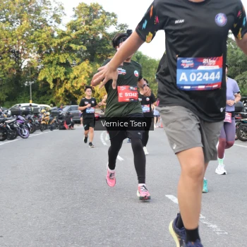 Runner Photo 3787823