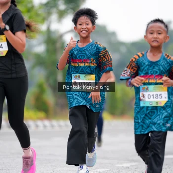 Runner Photo 3787971