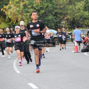 Runner Photo 3791681