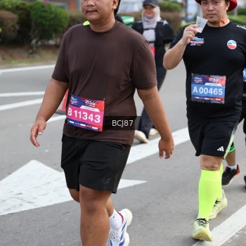 Runner Photo 3792365