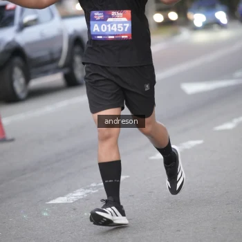 Runner Photo 3793471