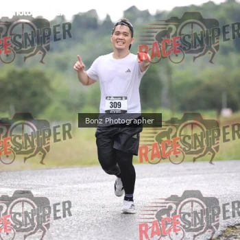 Runner Photo 379502