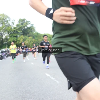 Runner Photo 3801345
