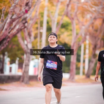 Runner Photo 3803690