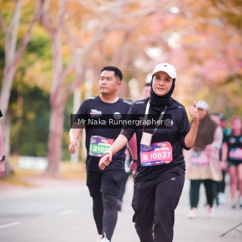 Runner Photo 3803702