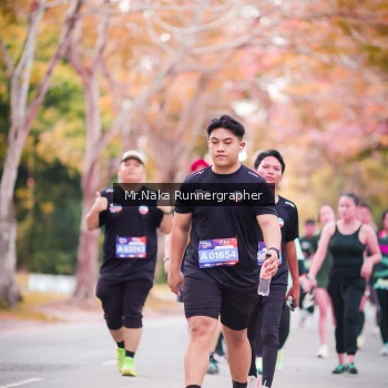 Runner Photo 3803780