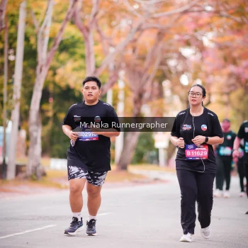 Runner Photo 3803887