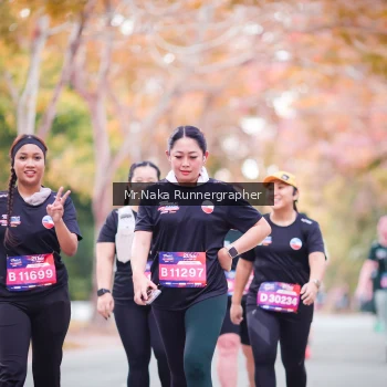 Runner Photo 3804184