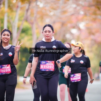 Runner Photo 3804195