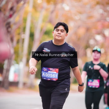 Runner Photo 3804254