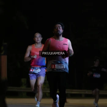 Runner Photo 3804502