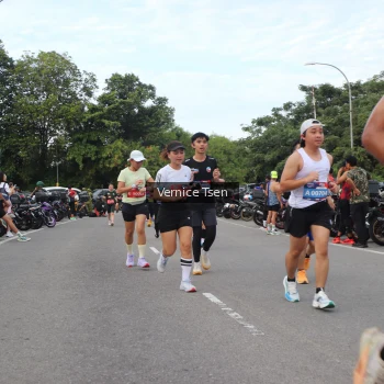 Runner Photo 3809711