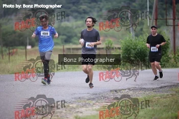 Runner Photo 381087