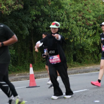 Runner Photo 3811033