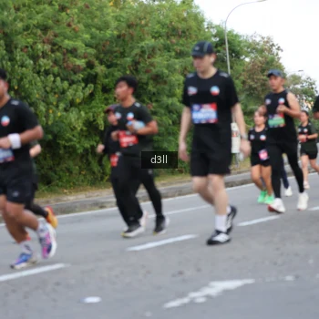 Runner Photo 3811245