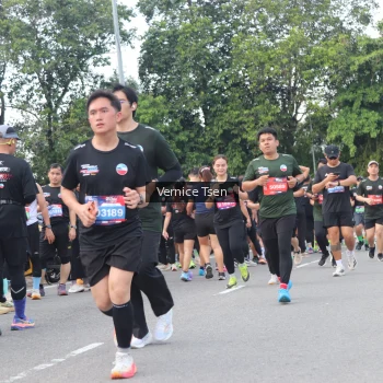Runner Photo 3811365