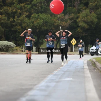 Runner Photo 3813632
